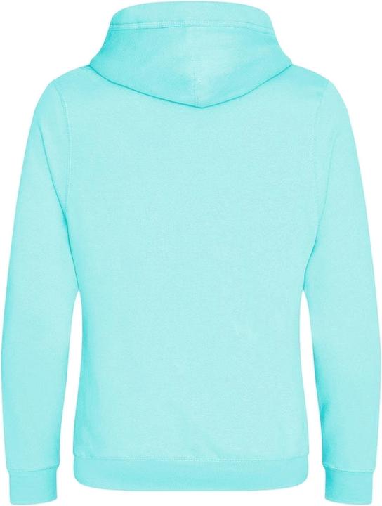 Image du produit Awdis Sweat à capuche (XL)
