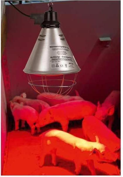 Image du produit Kerbl Émetteur de chaleur avec interrupteur économique