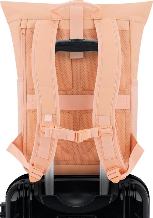 Actual product image Johnny Urban Allen Medium Backpack (18.50 l)