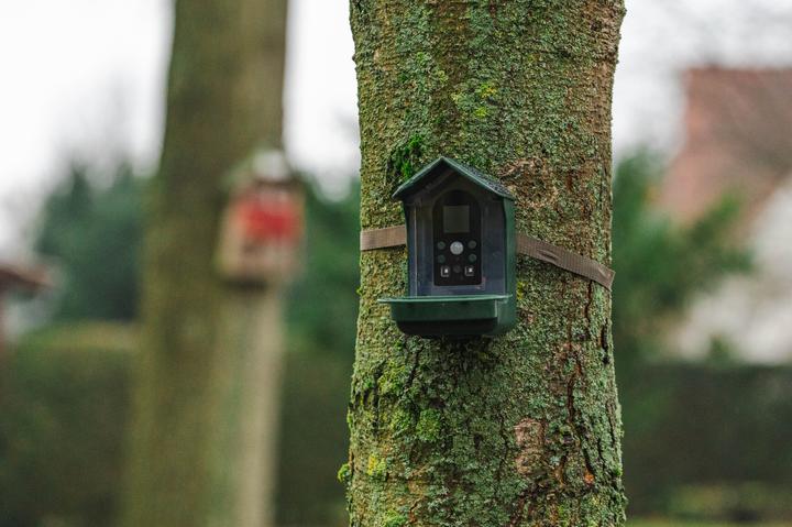 Image du produit Braun Photo BRAUN Bird Cam 130 solaire