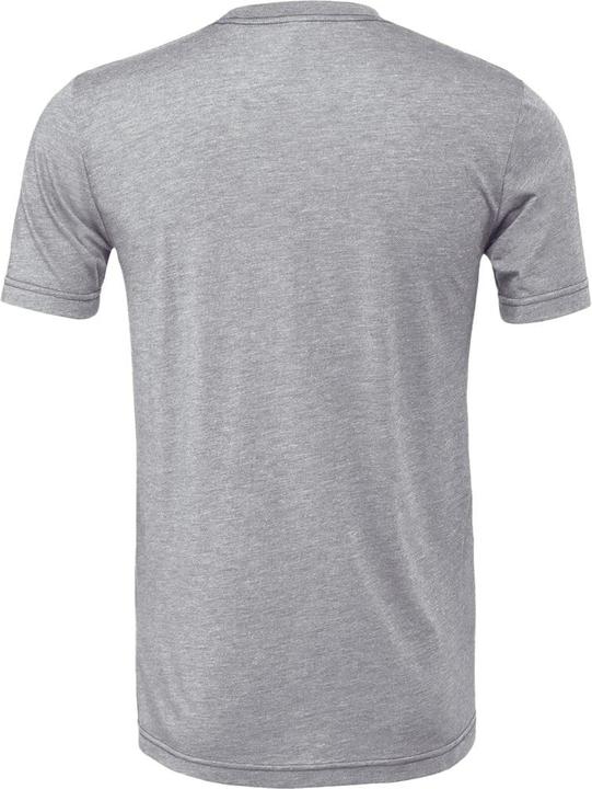 Actual product image Bella Canvas Cvc Tshirt Adult (L)