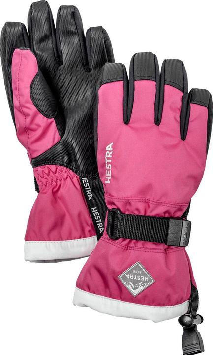 Image du produit Hestra Gants Gauntlet CZone (5)