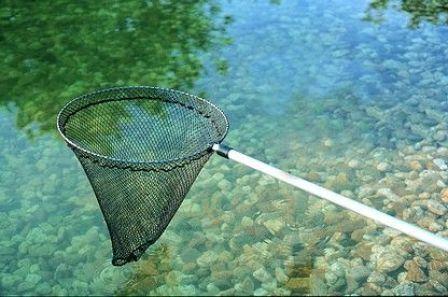 Image du produit Oase Epuisette à poisson petite 1 niveau