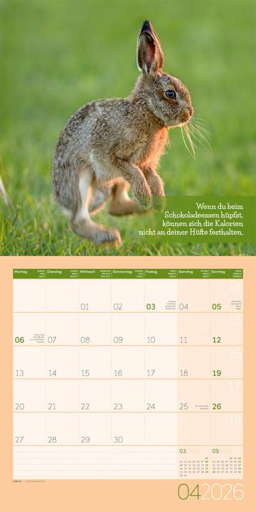 Produktbild Keep Smiling! Kalender 2026 - 30x30 (30 x 30 cm, Deutsch, Englisch, Französisch)