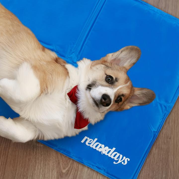 Produktbild Relaxdays Kühlmatte (Hund)