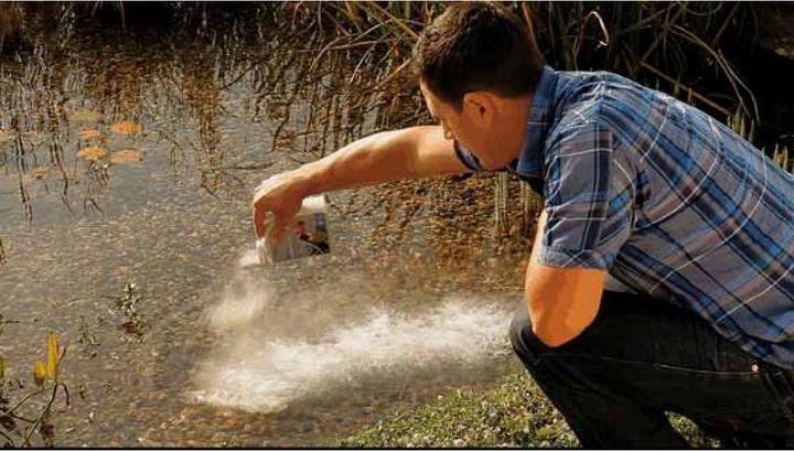 Actual product image Oase AquaActiv OptiPond