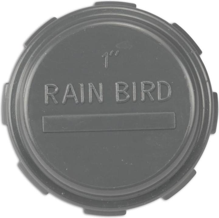Rain Bird RainBird Kappe VPC IG 10bar Grau