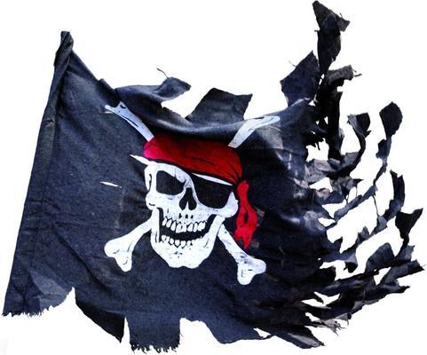 Actual product image P'tit Clown Pirate flag