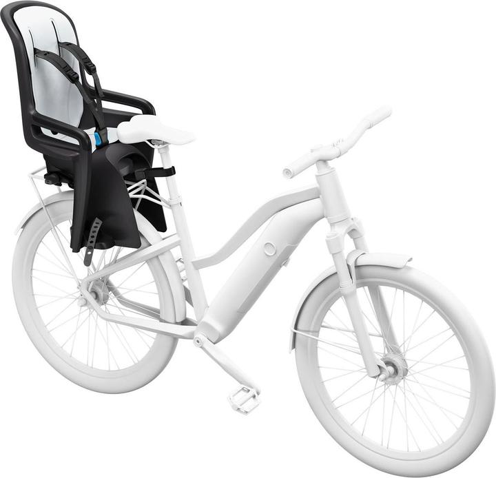 Produktbild Thule Ride Along 2 Rack Mount - Dark Grey (Gepäckträger)