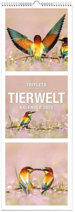 Produktbild Tiere Triplets Panoramakalender 2025 (Deutsch)