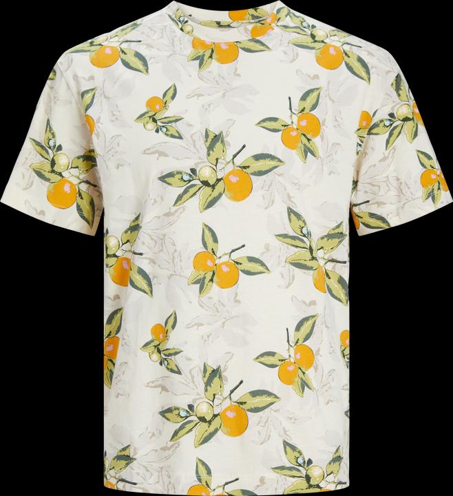 Jack & Jones Jortampa Aop Tee Ss Crew Neck Jnr (152)