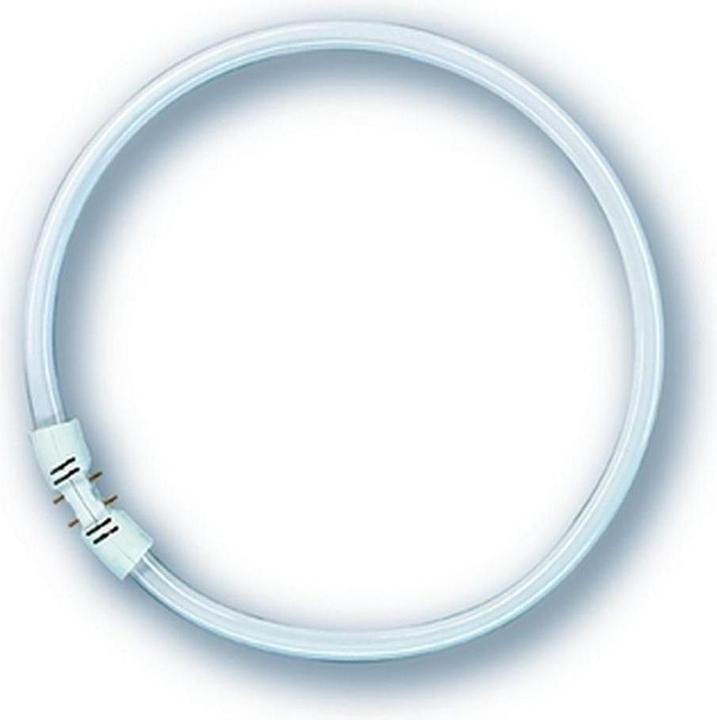 Produktbild Osram Fc 22 W/840 (2GX13, 22 W, 1900 lm, 1 x, G)