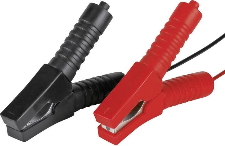 Actual product image Einhell Cc-Bc 10 E (12V, 10 A)