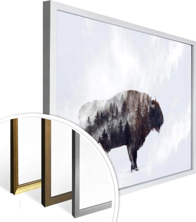 Produktbild Trenddeko Der Bison (60 x 50 cm)