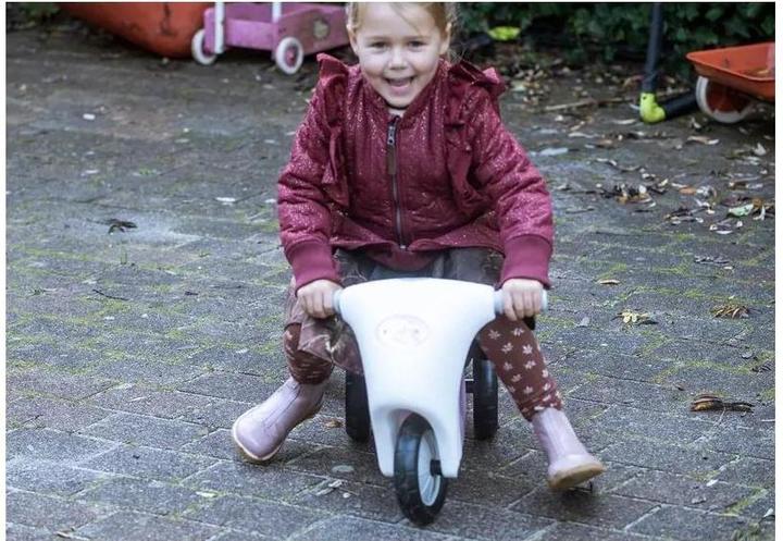 Actual product image dantoy Scooter Pink