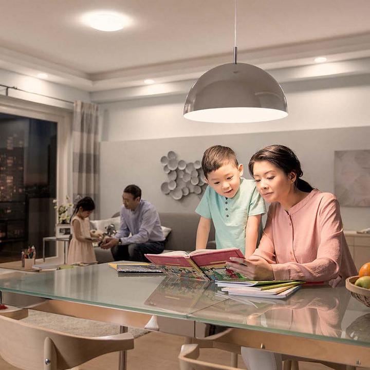 Immagine prodotto Philips Professional Lampada da 2 W a 8 W (60 W) E27 temperatura di colore variabile (E27, 7.50 W, 806 lm, 1 x, F)