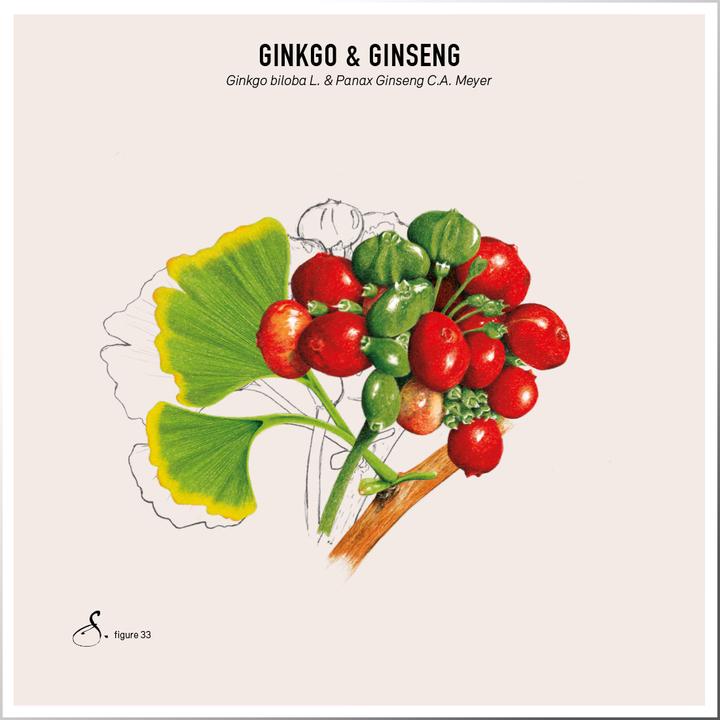 Produktbild Sekoya Ginkgo & Ginseng | Für das Gedächtnis (60 Stück, Kapseln, 31 g)