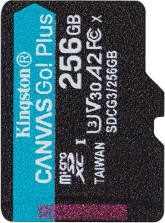 Immagine prodotto Kingston Tela Go Plus (256 GB, microSDXC, U3, UHS-I)