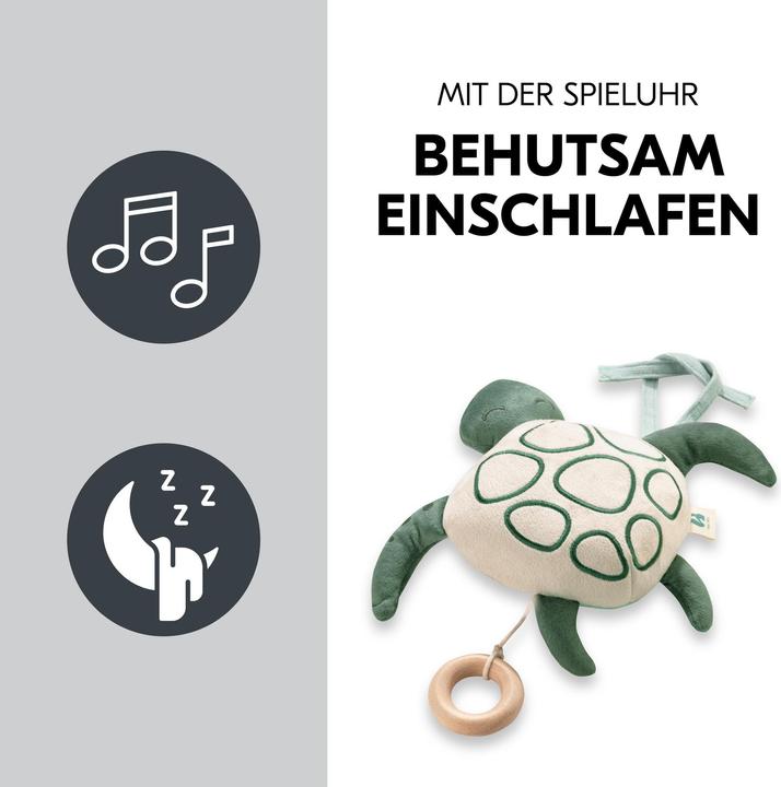 Produktbild Hauck Cuddle N Sleep Turtle
