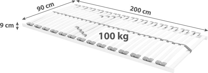 Actual product image Lipo Plaro