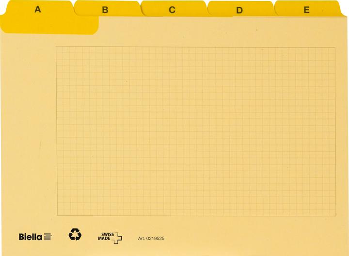 Biella Indice Carte guida Alfabeto A - Z al quadrato (A5, 450 g/m², 25 x)