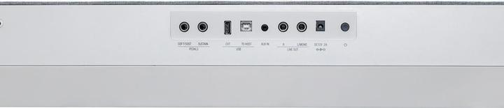 Image du produit Kurzweil KaP1 (88 Boutons)