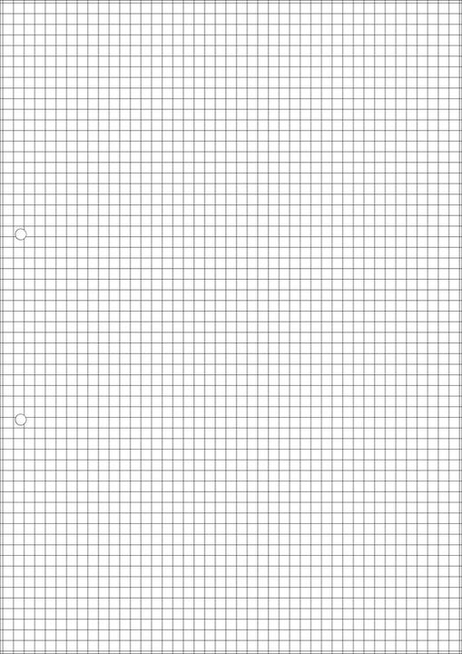 Image du produit Naturaline Feuilles perforées pour couvertures à anneaux (A4, Quadrillé)