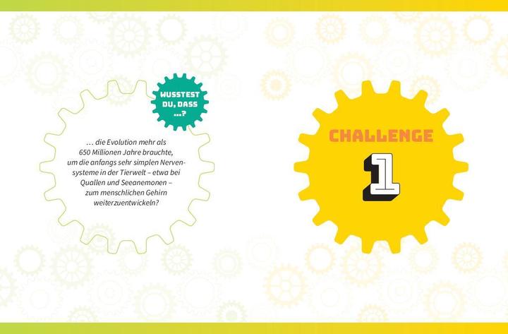 Produktbild Die ultimative Rätsel-Challenge Gedächtnistraining (Deutsch, Naumann & Göbel, 2023)
