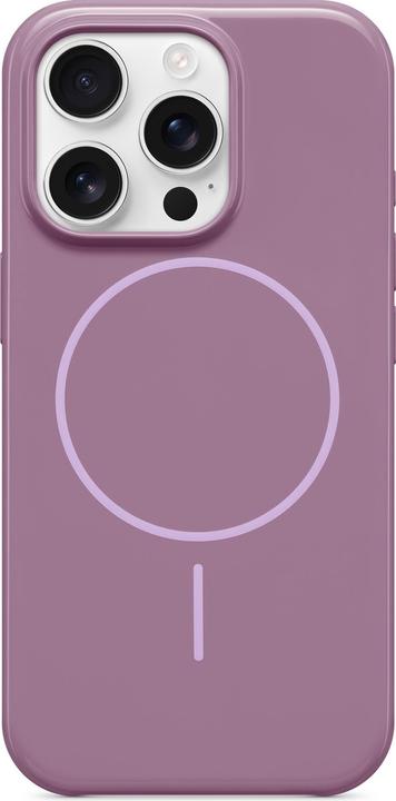 Sunset Purple