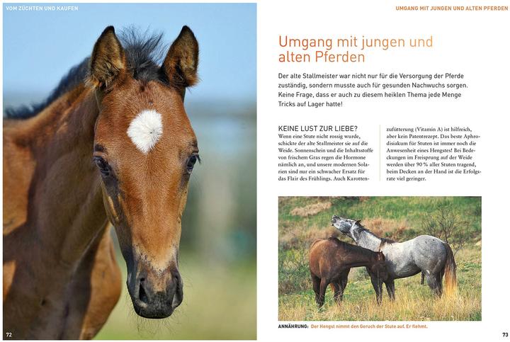 Actual product image Kosmos Was der Stallmeister noch wusste (German, Christiane Gohl, 2022)