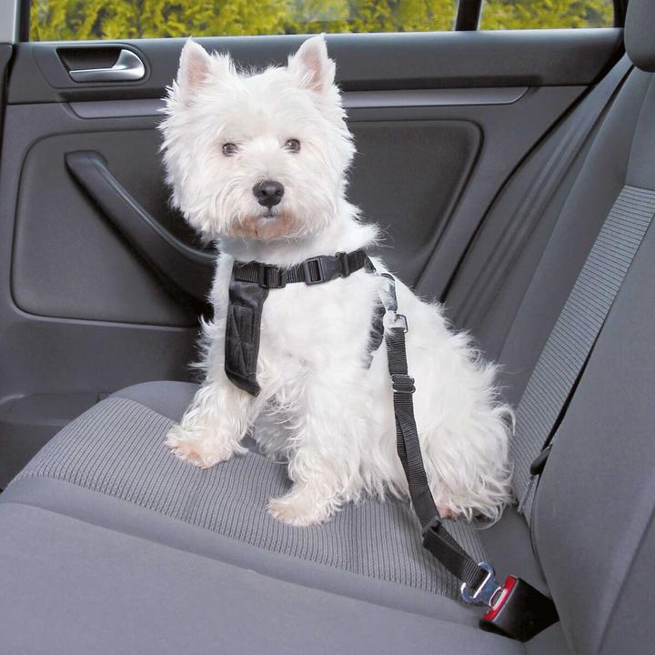Produktbild Trixie Auto-Geschirr (XS, Hund, Allgemein)