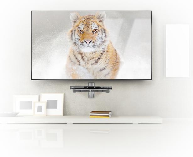 Actual product image b-tech VENTRY - AV Component (1 pair, Wall installation)