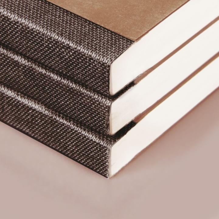 Actual product image Notebook FACT!plus DIN A4 dot grid, light brown soft cover 192 pages (A4, Dotted, Hardcover)