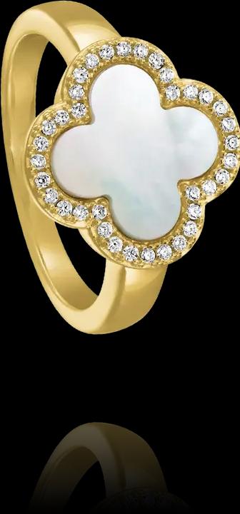 Actual product image Charles Garnier Ring in gilded silver, mother-of-pearl, zirkonium oxide (52)