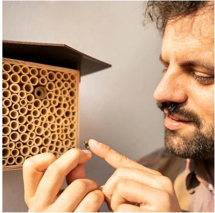 Immagine prodotto Wildbiene BeeHome One (Api)