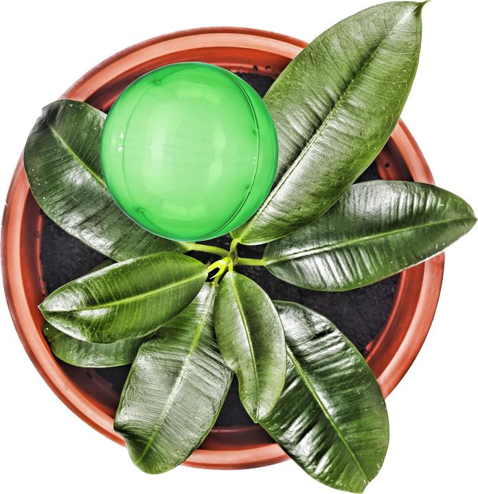 Produktbild Relaxdays Bewässerungskugeln (Bewässerungskugeln)