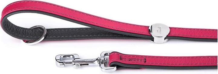 Immagine prodotto Myfamily Firenze Vitello (XL, Cane, Generale)