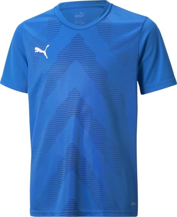 Puma teamGLORY Jersey Jr