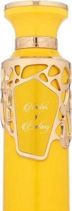 Ameer Al Oud Nectar of Ecstasy Eau De Parfum 100ml (Eau de Parfum, 100 ml)