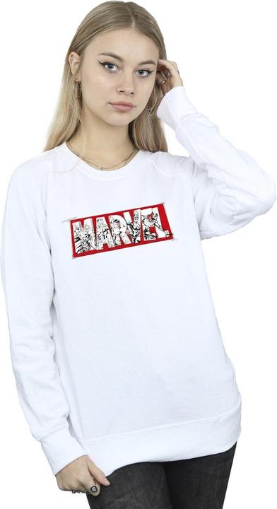 Actual product image Womens/Ladies Avengers Infill Sweatshirt (M)