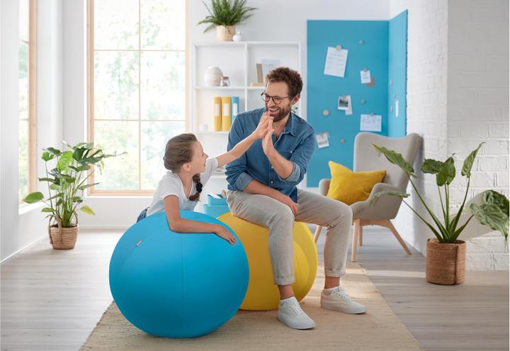 Image du produit Leitz Ballon-siège Ergo Cosy Active (65 cm)