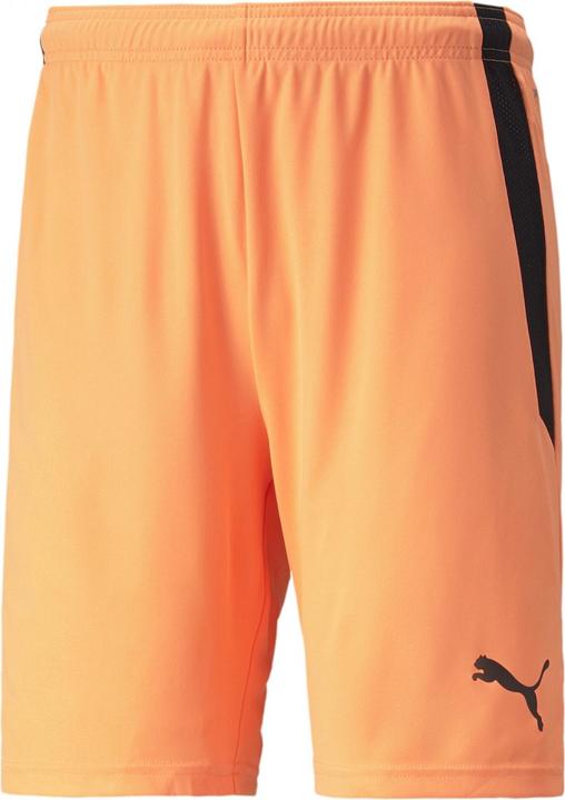Actual product image Puma teamLIGA Shorts-704924 (XL)