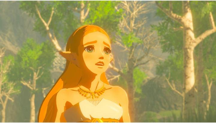 Image du produit Nintendo Légende de Zelda Breath of the Wild (Switch, DE)