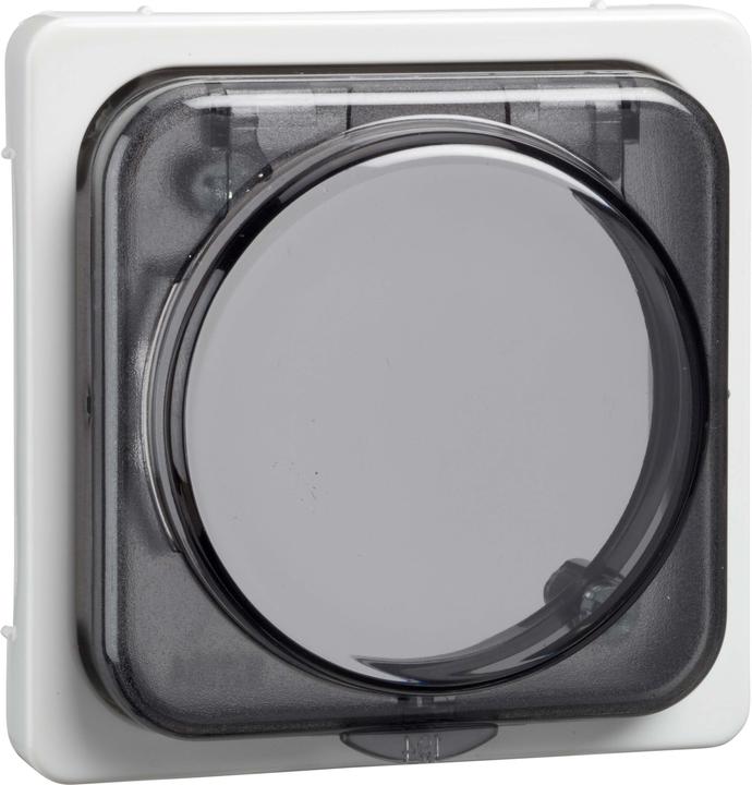 Actual product image ELSO Central plate