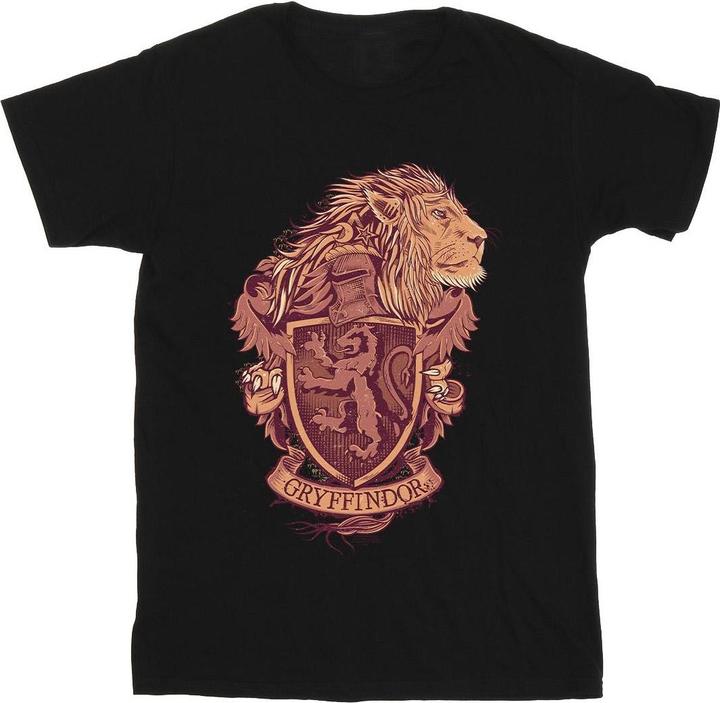Immagine prodotto Gryffindor Sketch Crest Maglietta Uomo (S)