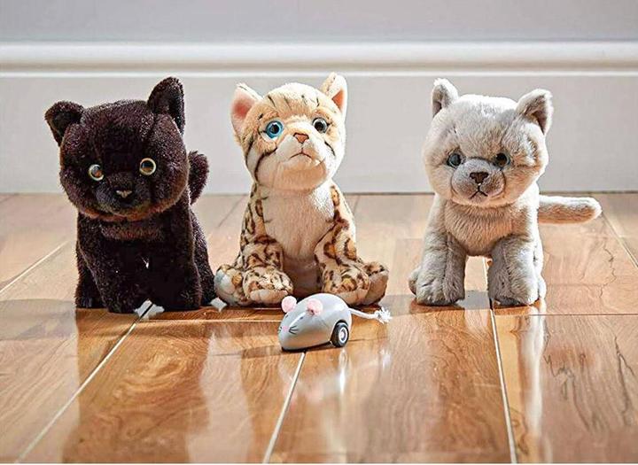 Immagine prodotto Living Nature Gattini British Grey Shorthair (16 cm)