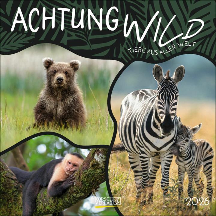 Achtung wild - Tiere aus aller Welt 2026 (30 x 30 cm, Couverture rigide, Allemand)