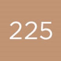Actual product image Diego dalla Palma Geisha Lifting Fond de Teint No 225 (225)