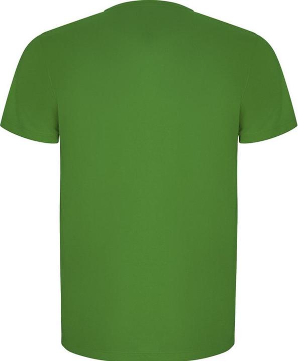 Immagine prodotto Alpinia Imola Maglietta Sportiva Maniche Corte Uomo (3XL)