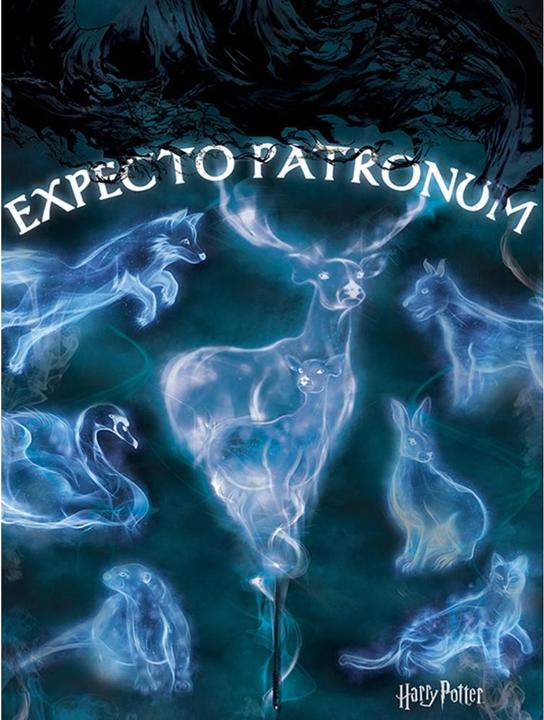 Produktbild Leinwanddruck Expecto Patronum (80 x 60 cm)